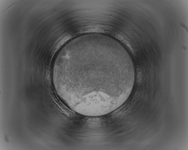 X0000097670882200803281010