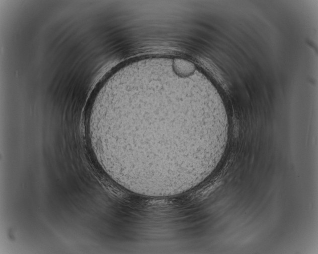 X0000097670883200803281010