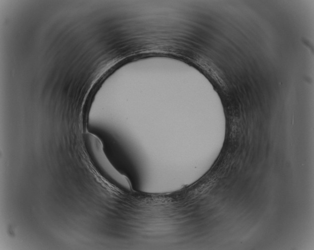 X0000097670884200803281010