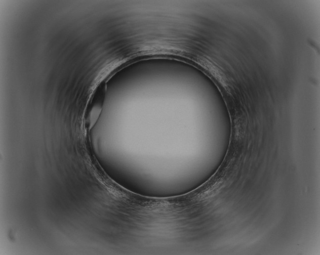 X0000097670885200803281010