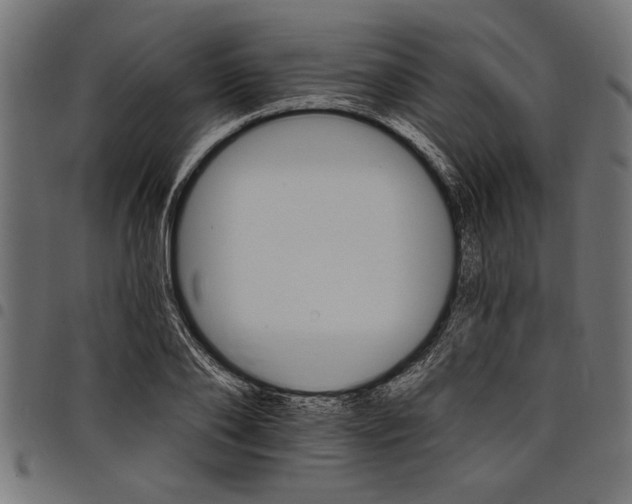 X0000097670886200803281010