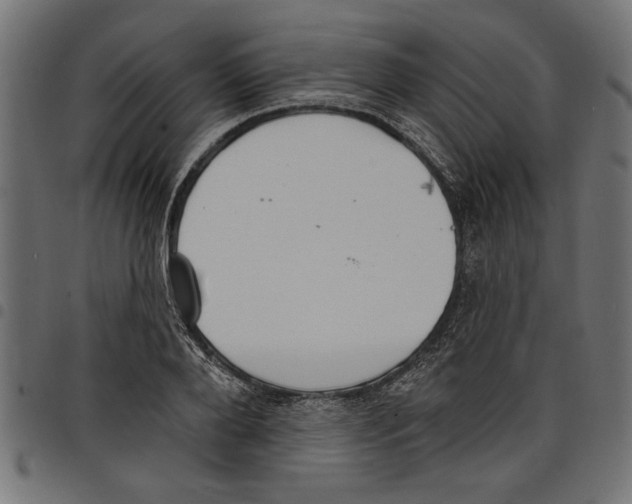 X0000097670888200803281010