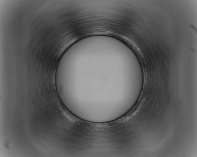 X0000097670889200803281010