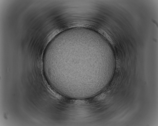 X0000097670890200803281010