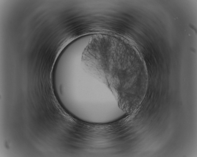 X0000097670891200803281010