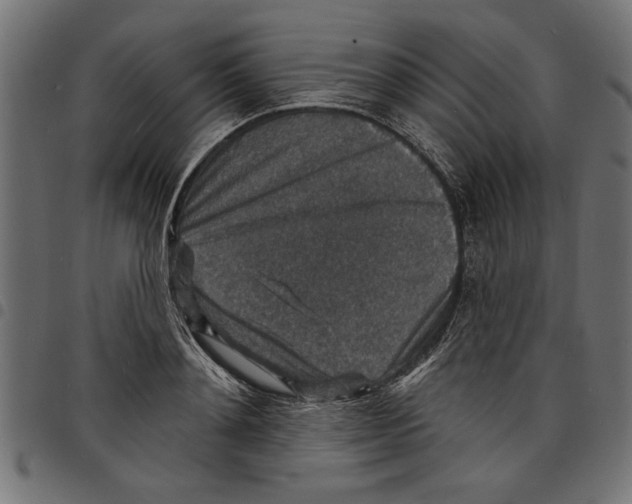 X0000097670892200803281010