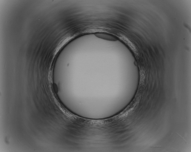 X0000097670893200803281010
