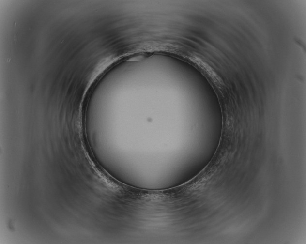 X0000097670894200803281010