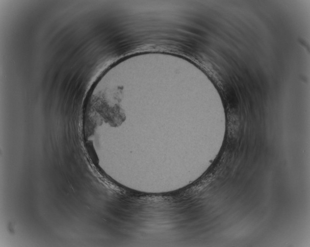 X0000097670896200803281010