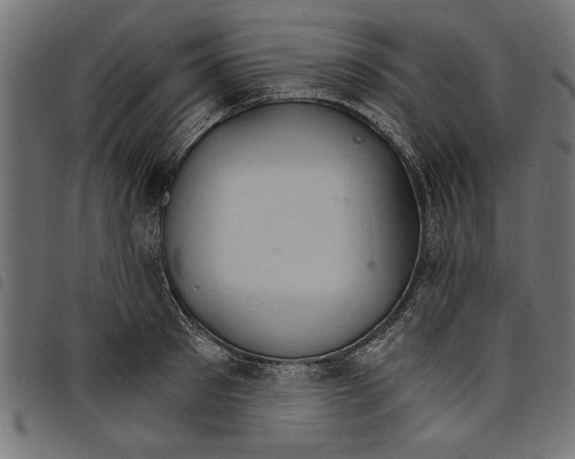 X0000097670897200803281010
