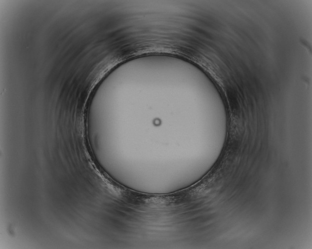 X0000097670898200803281010