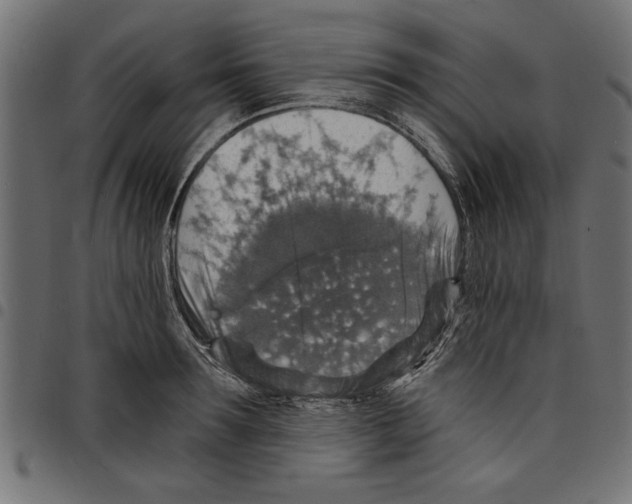 X0000097670899200803281010