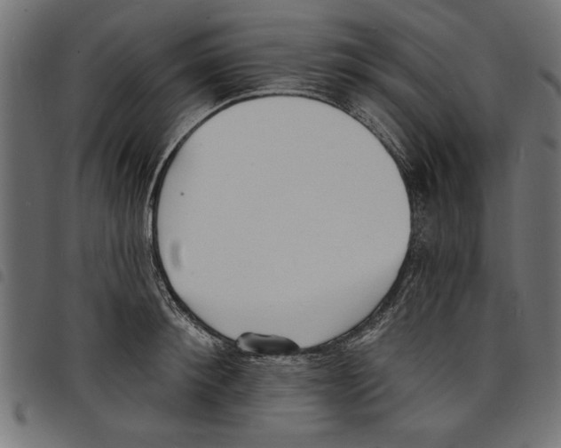 X0000097670900200803281010