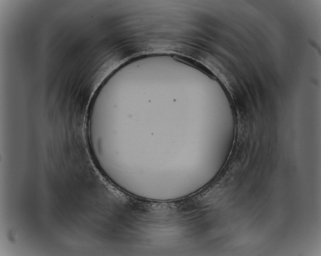X0000097670901200803281010