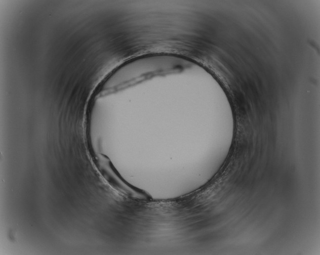 X0000097670902200803281010