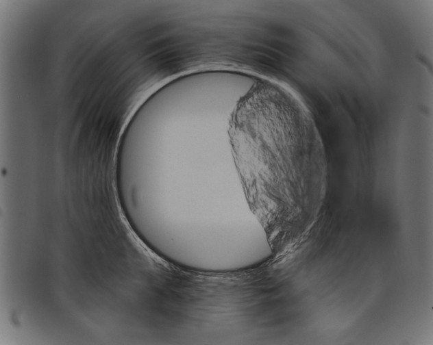 X0000097670903200803281010