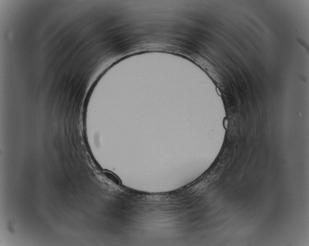 X0000097670904200803281010