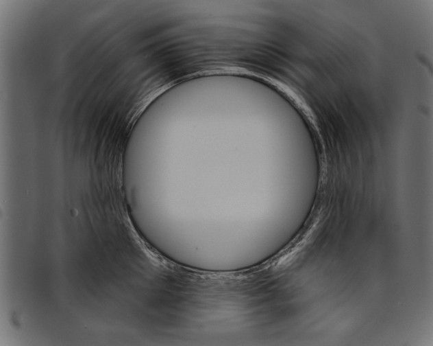 X0000097670905200803281010