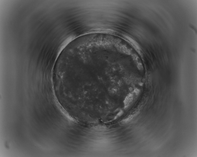 X0000097670907200803281010