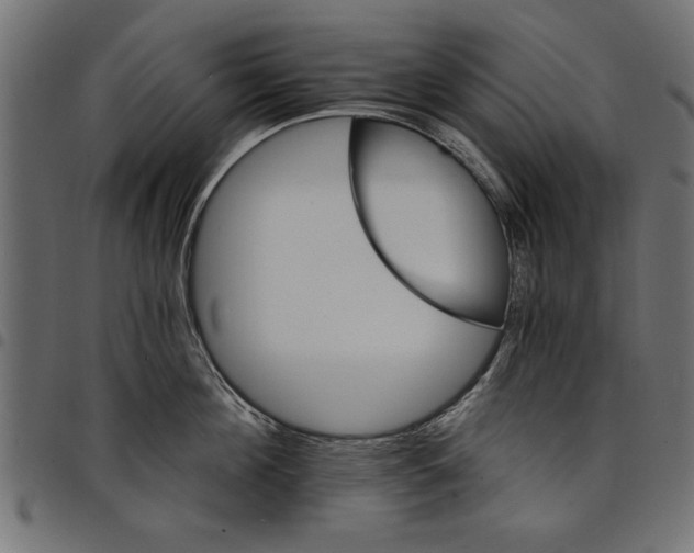 X0000097670908200803281010