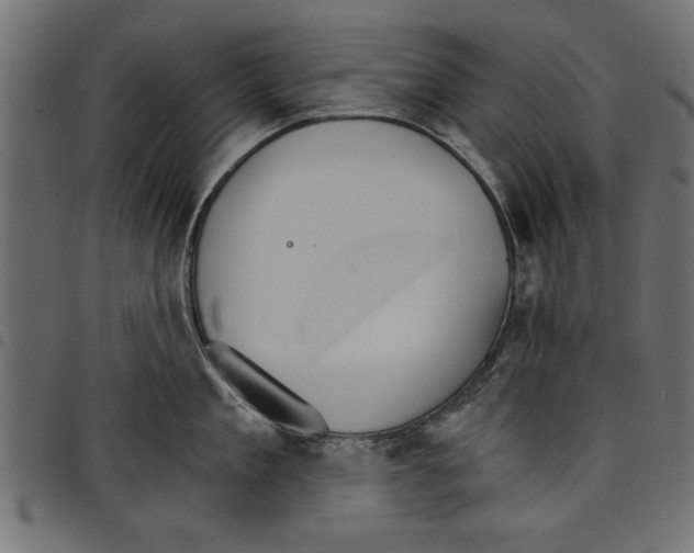 X0000097670909200803281010
