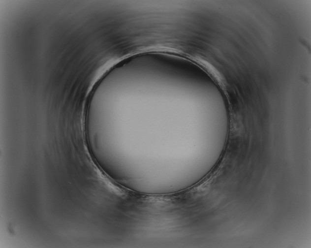 X0000097670910200803281010