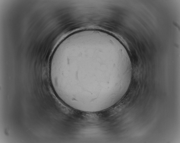 X0000097670911200803281010
