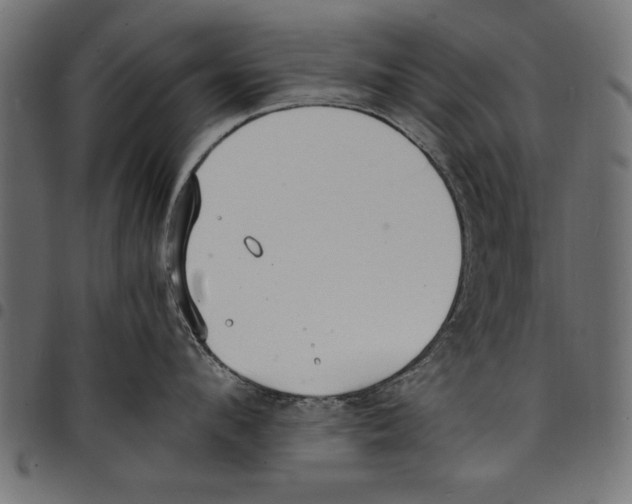 X0000097670912200803281010