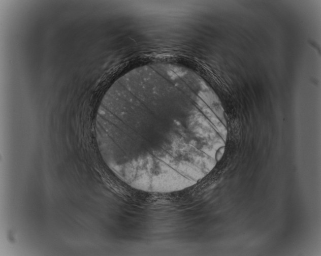 X0000097670913200803281009
