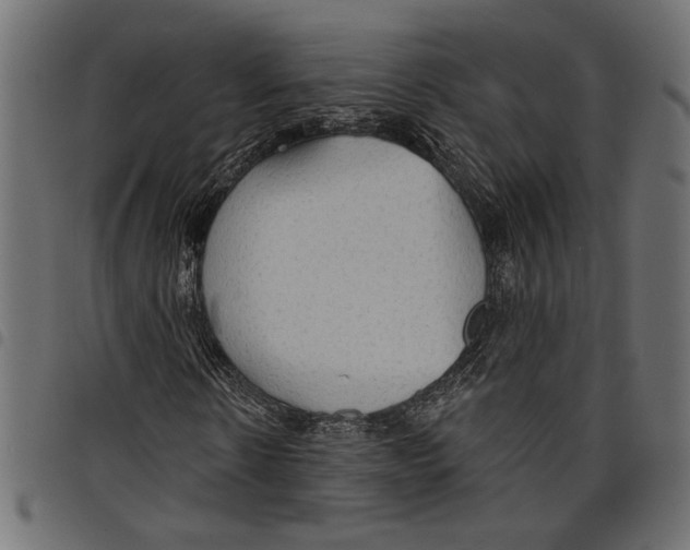 X0000097670914200803281009