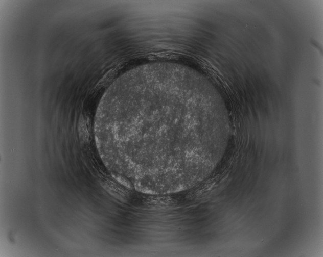X0000097670915200803281009