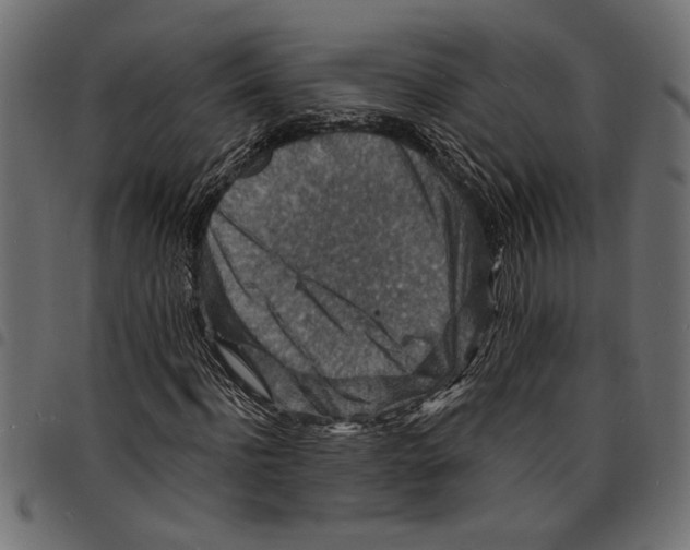 X0000097670916200803281009