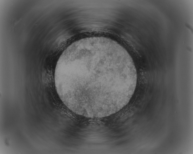 X0000097670918200803281009