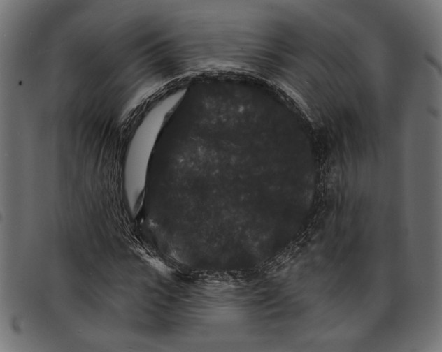 X0000097670919200803281009