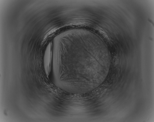 X0000097670920200803281009