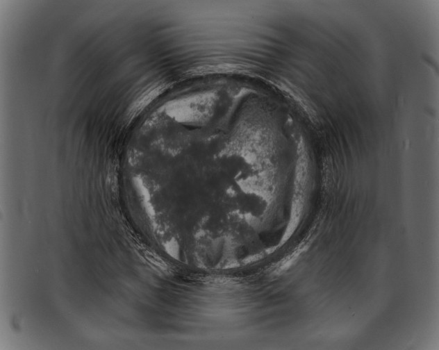 X0000097670921200803281009