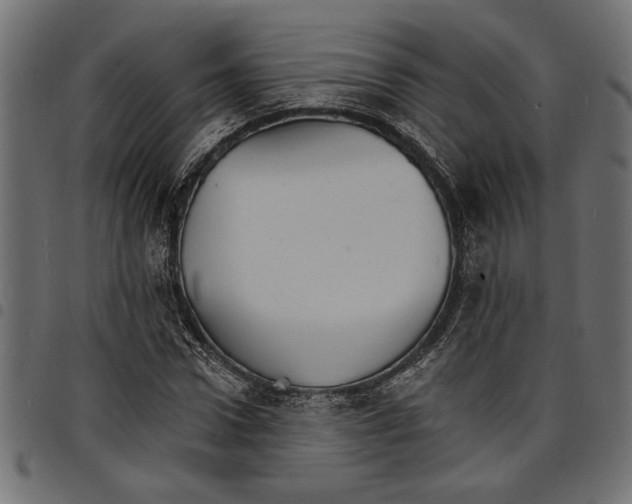 X0000097670922200803281009