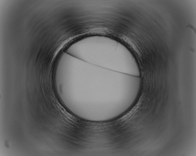 X0000097670923200803281009