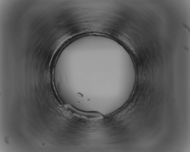 X0000097670924200803281009