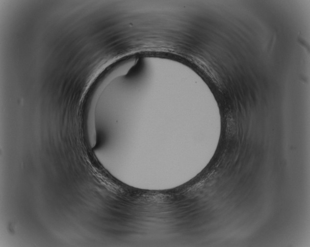 X0000097670926200803281009