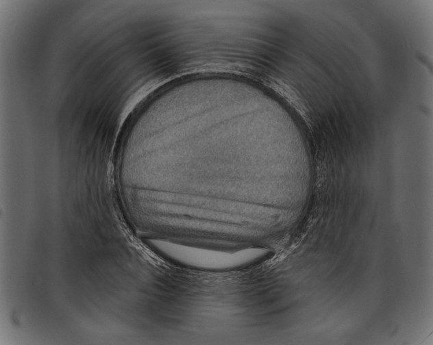 X0000097670928200803281009