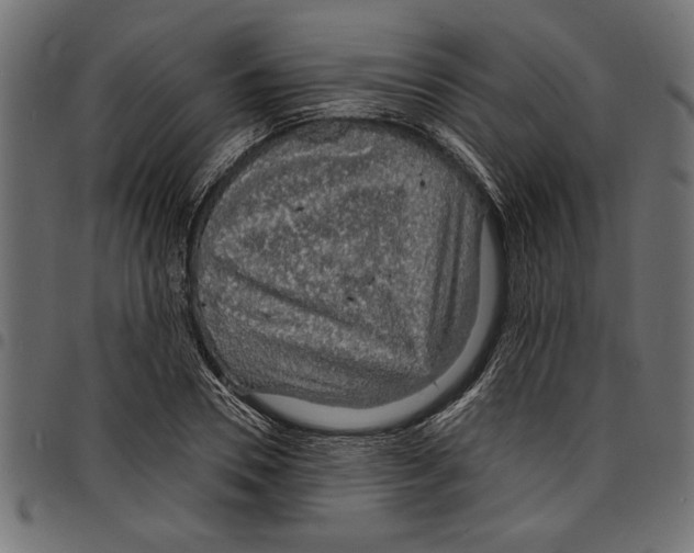X0000097670930200803281009