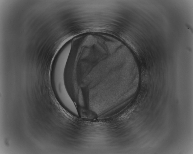 X0000097670932200803281009