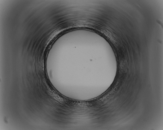 X0000097670934200803281009