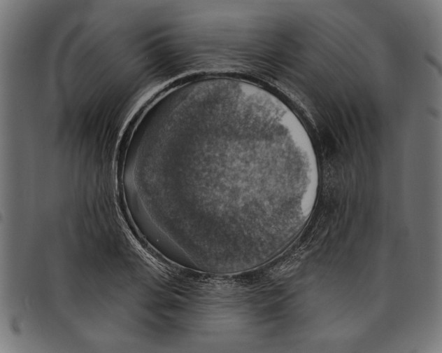 X0000097670935200803281009