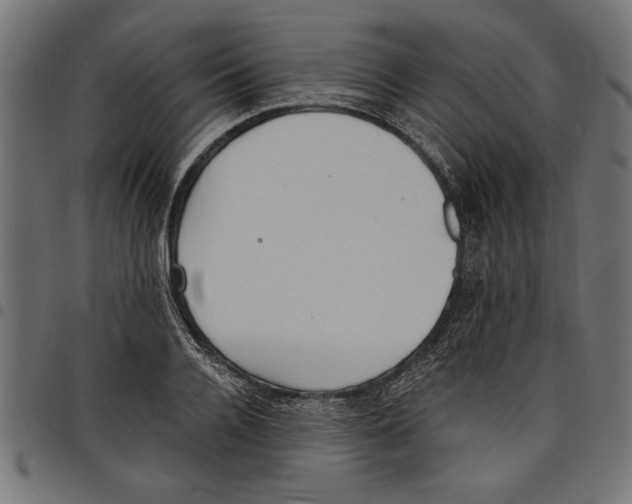X0000097670936200803281009
