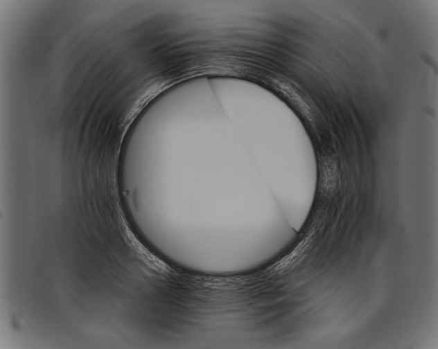 X0000097670938200803281009