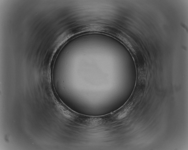 X0000097670939200803281009