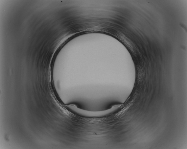 X0000097670940200803281009