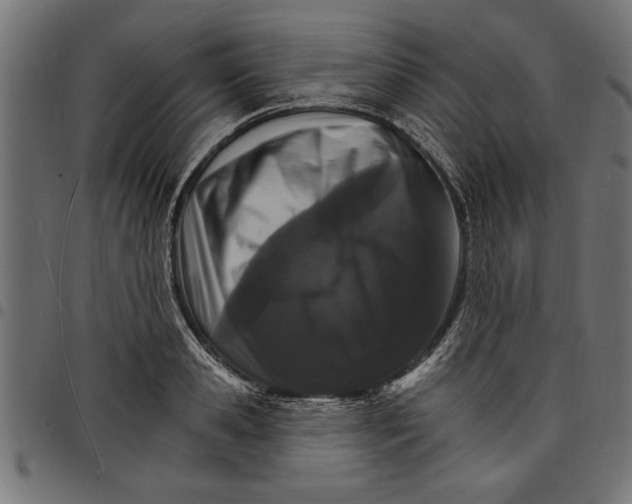 X0000097670941200803281009